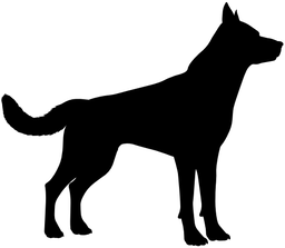 www.tc-k9.com favicon